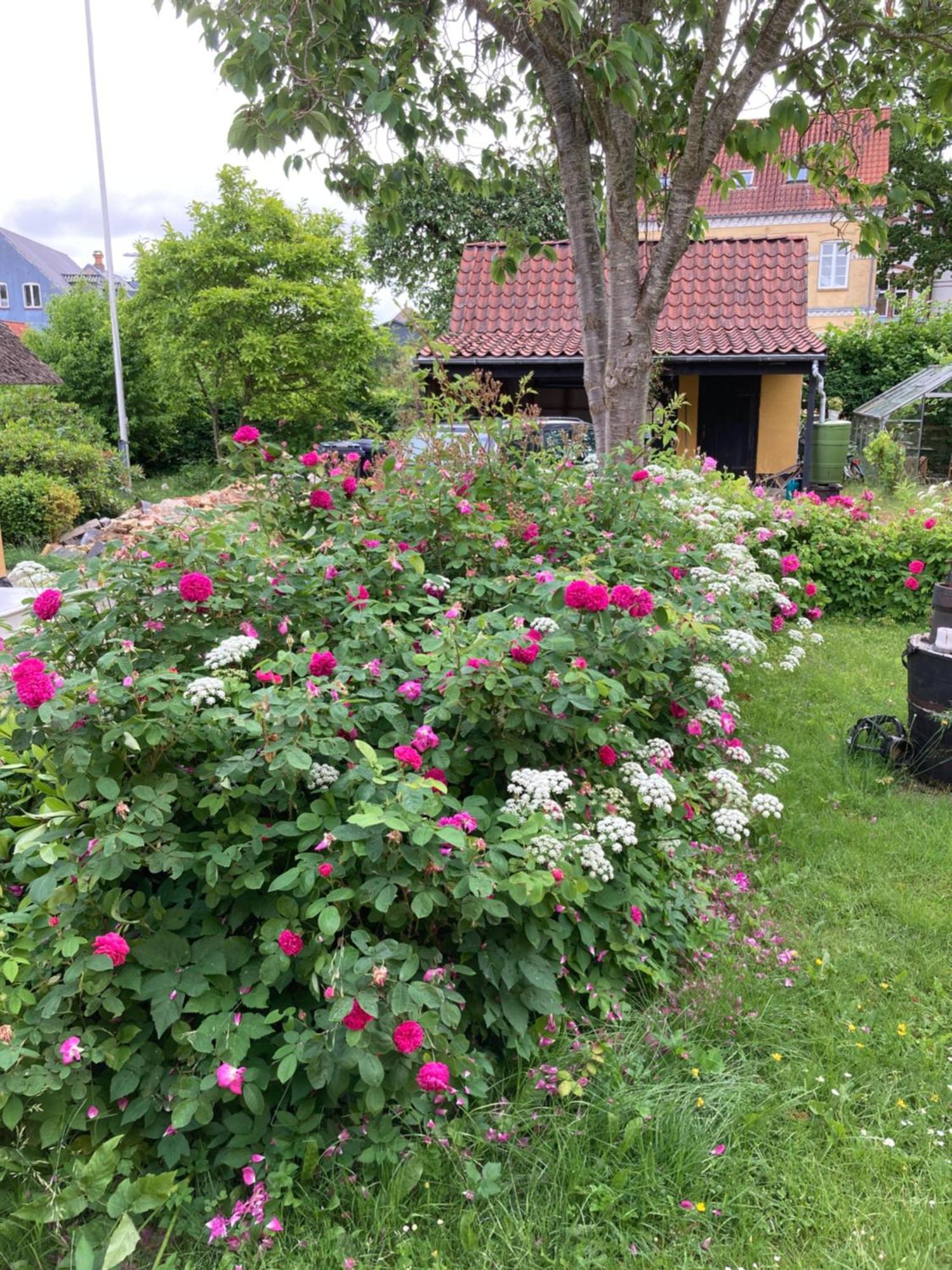 Den Gamle Skomager Hytte Ved Slotssoen Grasten Bagian luar foto